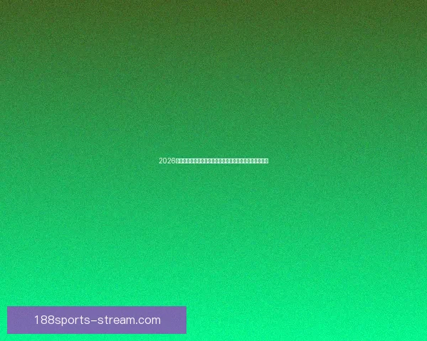 2026美国世界杯球场全景布局城市分布与观赛体验深度解析指南